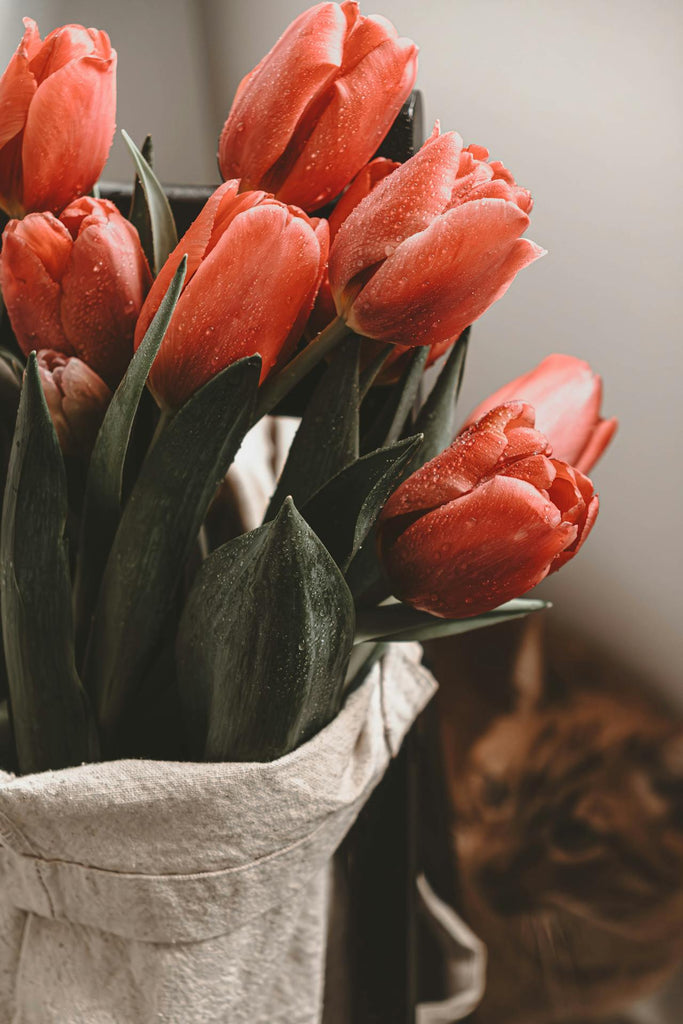 HK best flowers shops