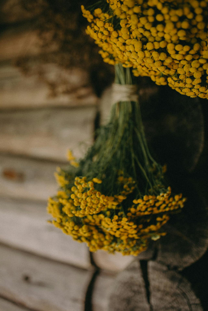 Guide to Drying and Preserving Flowers from Your Bouquet