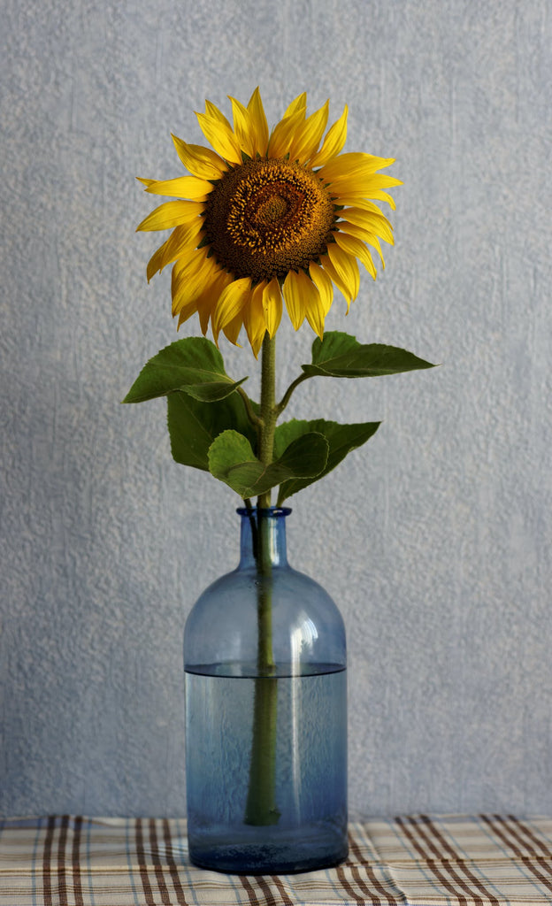 April Fools Day: Fun and unusual vessels for your flower bouquet